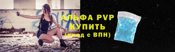 крисы Магас