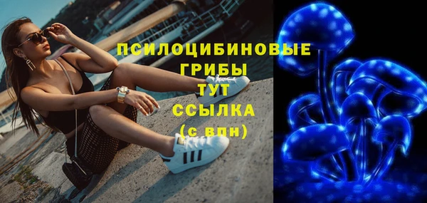 крисы Магас