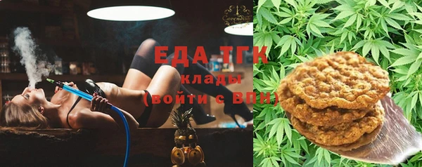 крисы Магас